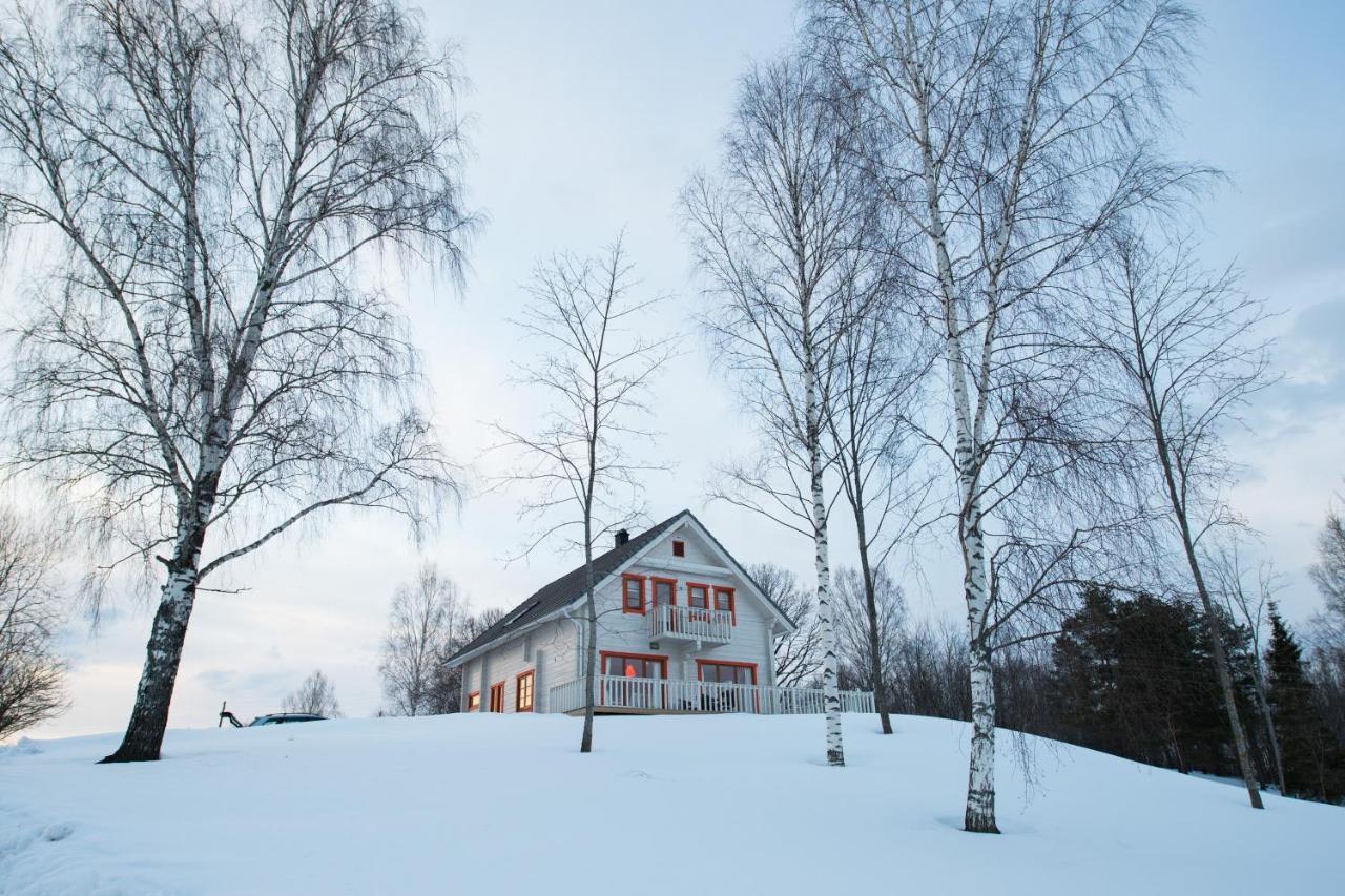 Vasekoja Holiday Center Vahtseliina エクステリア 写真
